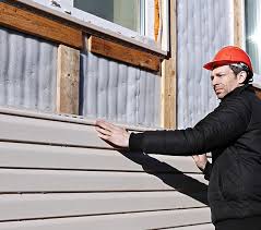 Best Custom Trim and Detailing for Siding  in Ionia, MI